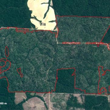 IPAM e Banco Mundial desenvolvem ferramenta que prevê desmatamento na Amazônia