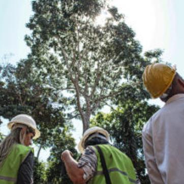Dia na Floresta será realizado em Alta Floresta. O evento será reservado para convidados