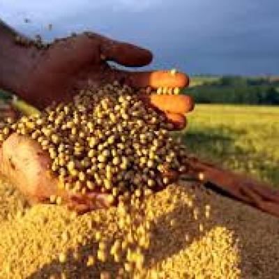 Brasil exporta menos soja e açúcar em fevereiro; vendas de farelo de soja e milho crescem