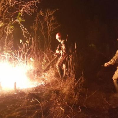 Mato Grosso antecipa o período proibitivo do uso do fogo