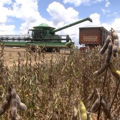 Custo ainda elevado leva produtor de soja em MT a ter cautela com a safra 2023/24